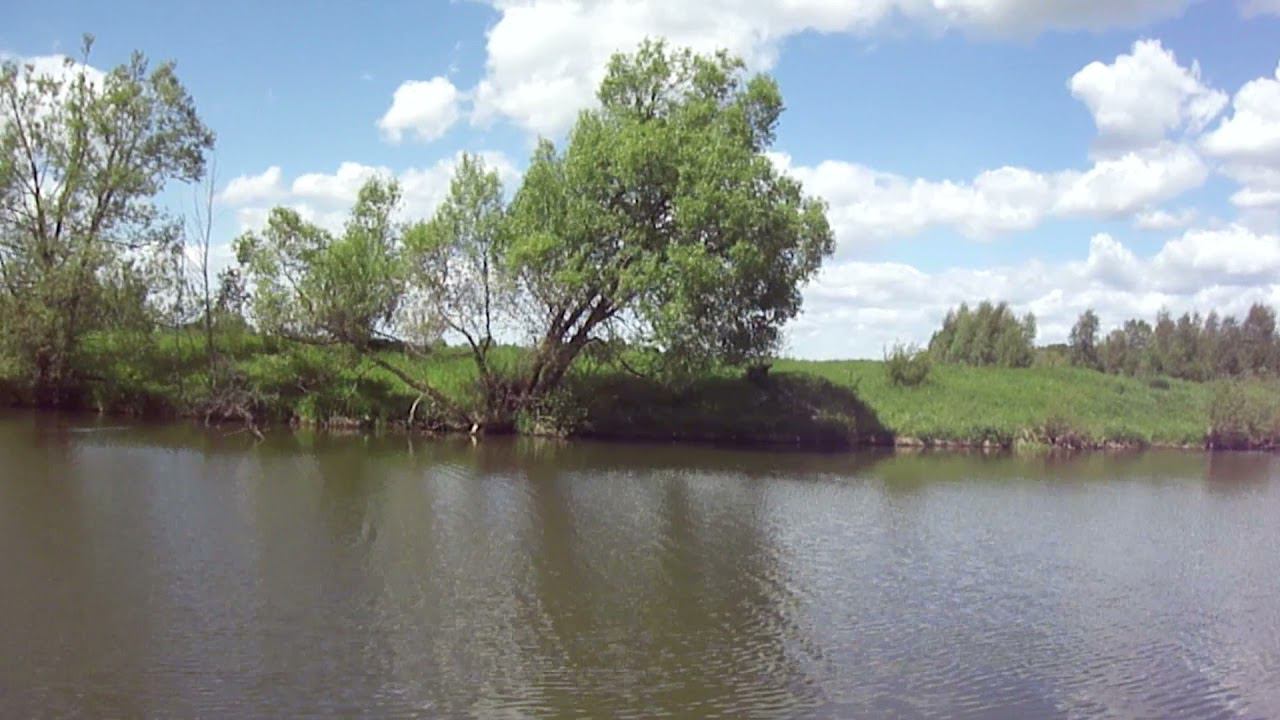 Пруд в селе Ярополец, Волоколамский район (27.05.11)