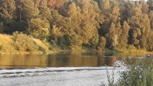 Моторная лодка Обь М