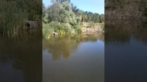 Форелевый пруд в селе Девица,Воронежской области