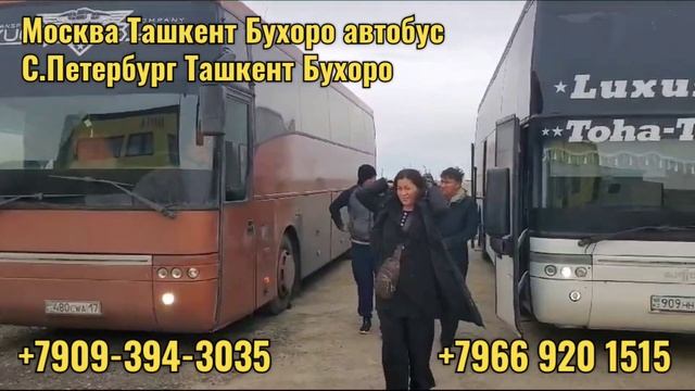 Moskva Tashkent avtobus Sankt-Peterburg Tashkent | Москва-Ташкент автобус Санкт-Петербург Ташкент