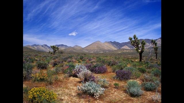 Природа---5 смотреть онлайн