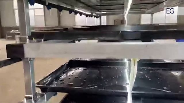 Гидропонная установка для проращивания зерна SG-30 смотреть онлайн