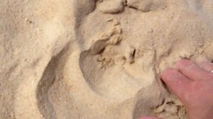 Singing sands of Karon Beach. Поющие пески пляжа Карон.