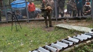 Состязания норных собак АНГІЙСЬКИЙ ДЖЕНТЛЬМЕН Ч - 3