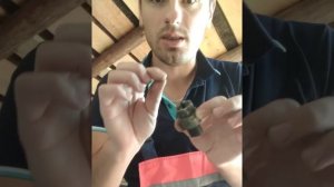 Как проверить исправность датчика скорости на  Киа Соренто первого поколения