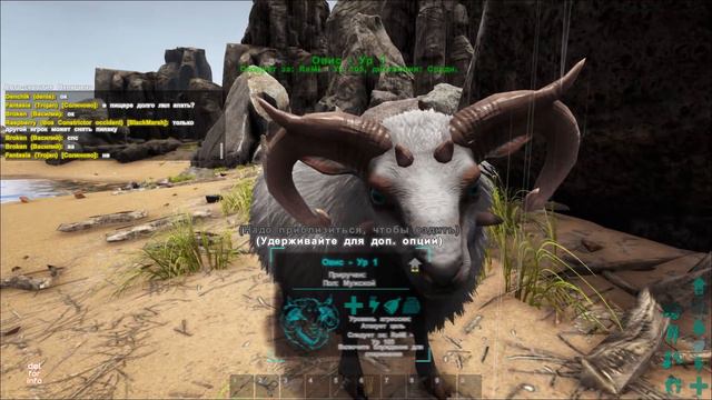 ОВЦА ARK Survival Evolved ОВИС - Полный обзор, Приручение, Баранина!