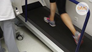 Фитнес-тестирование в GMS Clinic