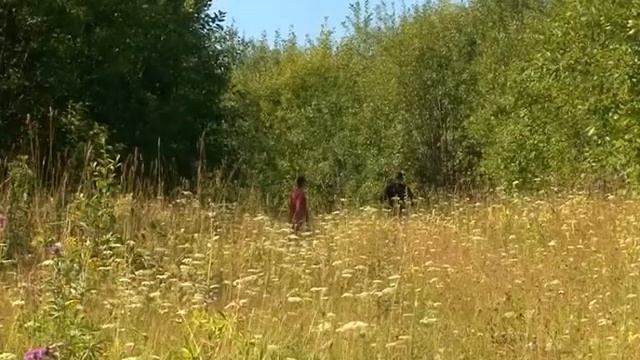 Федеральная программа ""ЛЕС" многодетным семьям"" смотреть онлайн