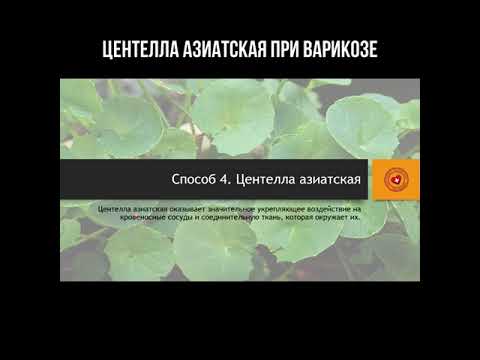 Центелла азиатская при варикозе смотреть онлайн