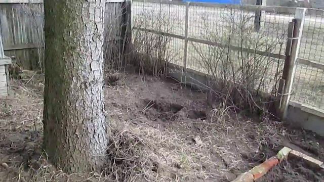 Оформление клумбы в палисаднике.