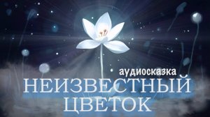 Неизвестный цветок | Сказка на ночь | Аудиосказка