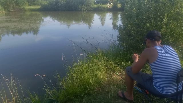 Это БОЛОТО КИШИТ КАРАСЕМ!!! РЫБАЛКА в МОСКОВСКОЙ области на ПОПЛАВОК. КАРАСЬ, РОТАН.