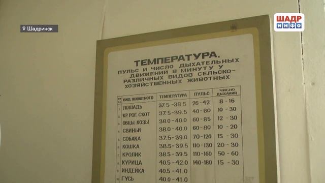 Кремация - цивилизованный уход животного из жизни