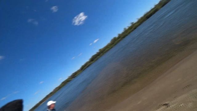 Трофейная рыбалка. Ловля Белого Амура на Волге. трек Волжский Дельфин смотреть онлайн