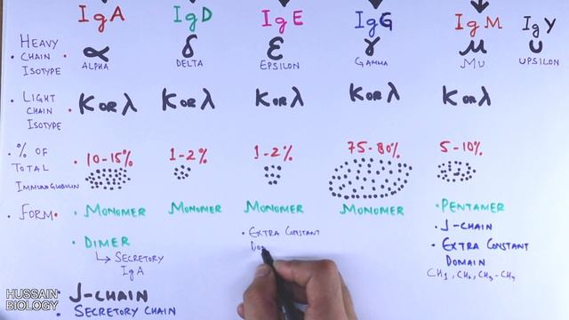 Immunoglobulin Isotypes | Antibody Classes смотреть онлайн