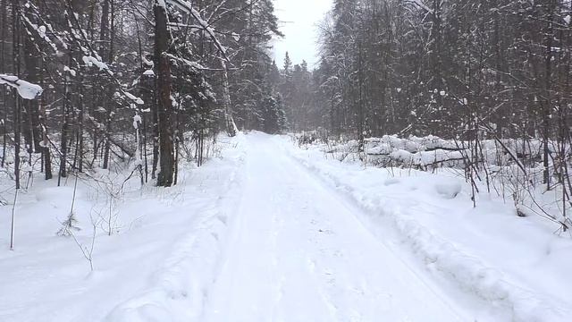 Зима на GREEN CITY TRAIL Нижний Новгород. Смотреть обязательно со звуком смотреть онлайн