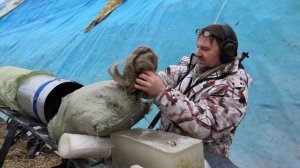 Тест пули Кион-18 по гелю, с имитацией калкана кабана.