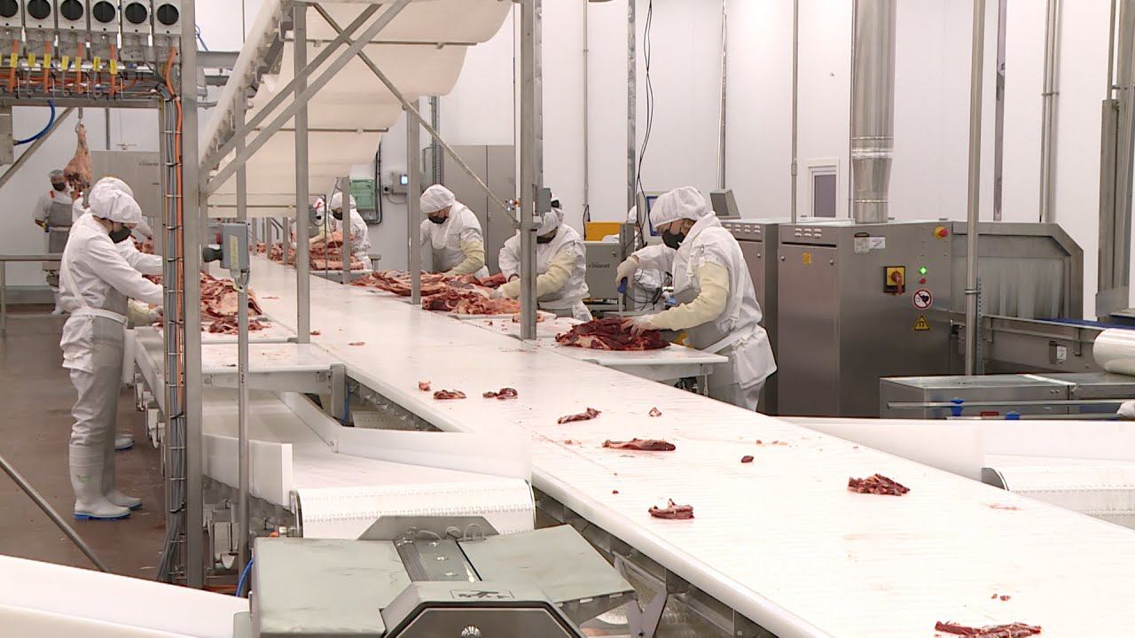 Упаковщик мясной продукции. Комбинат останкино колбасный цех. Производство сырокопченых колбас. Оборудование для колбасного цеха. Мясоперерабатывающие предприятия.