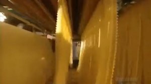 How to make Pasta   Factory Production