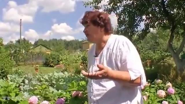 Дача с умом: уютная дача || Ландшафтный Дизайн своими руками ©
