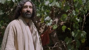 Евангелие от Иоанна, глава 15