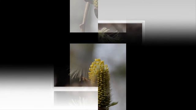 Весна смотреть онлайн