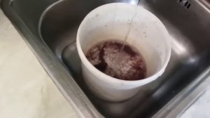 Как промыть и покормить трубочником рыбок.