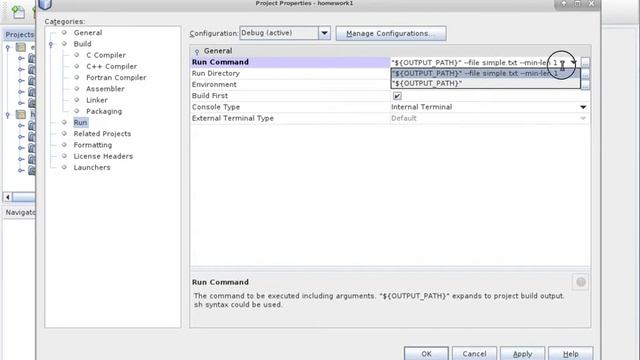 Command Line Arguments & NetBeans смотреть онлайн