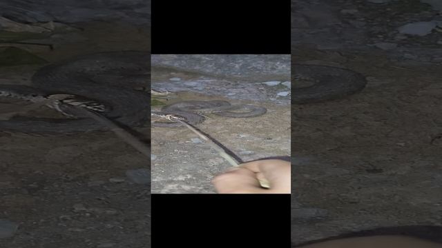 1000013723.mp4 смотреть онлайн