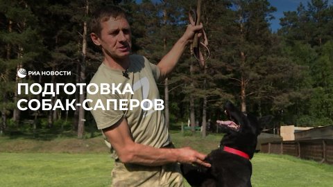 Иркутский питомник готовит собак-саперов для участия в спецоперации