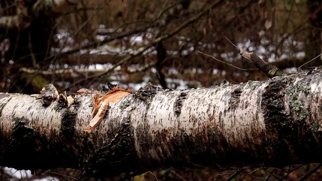 Моя новая камера canon eos 250d смотреть онлайн