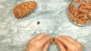 DIY Christmas. Ёлочка из природных материалов. Сделать её очень легко.