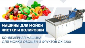 Машина для мойки овощей и фруктов VOLTEK QX 2200