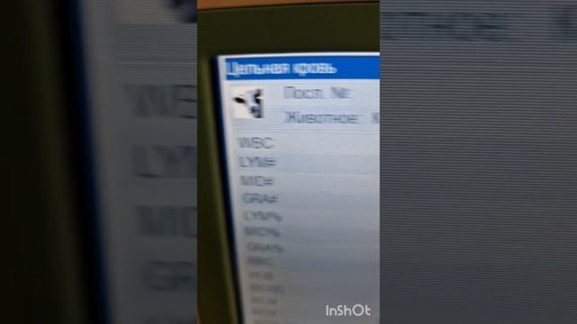 У коровы плохой вкус молока и запах молока не приятный Есть ответ после обследования, осмотра коров