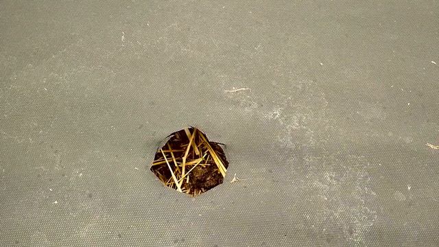 Использование агроволокна на грядках смотреть онлайн