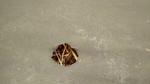 Использование агроволокна на грядках