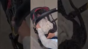 Doona Plus, обзор