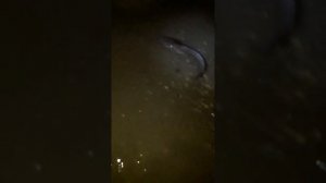 Рыбалка в Твери