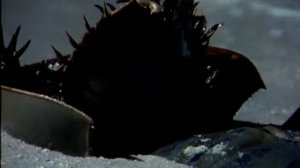 Юрский мечехвост ( Прогулки с динозаврами )