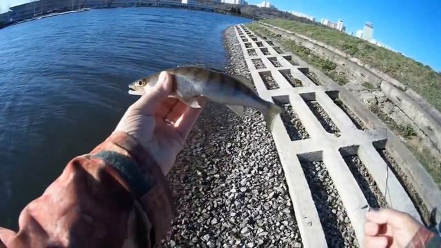 2018 год Первый выезд с боковым кивком,на Гребной канал! смотреть онлайн