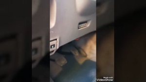 Автоэксперт и ТЛК 100. Честный владелец.