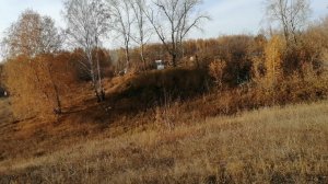 Почти каждый день ходим на прогулку, постепенно увеличивая расстояние.