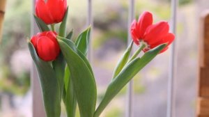 Поздравление с юбилеем в стихах