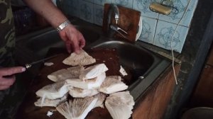 Гриб , зонтик )) один из самых вкусных и безопасных грибов )) ??