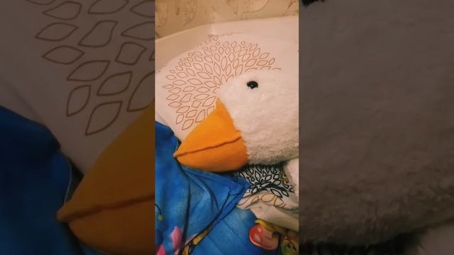 мой гуся всегда прав ☺️ смотреть онлайн