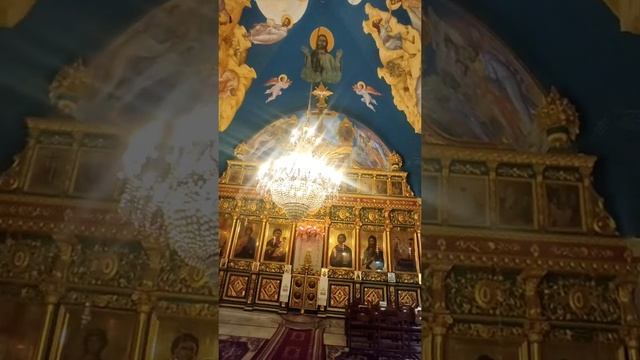 Из выдержки официальных источников информации соцсетях ? ? ?