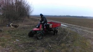 Пружинный стартер на дизель муравей