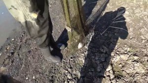 Рыбачим пауком! Кастинговая сеть наловила 20кг карася на Чибийском канале