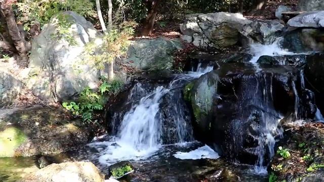 canon 80 D Video Test смотреть онлайн