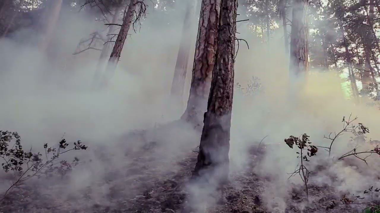 Безопасность начинается с тебя. смотреть онлайн